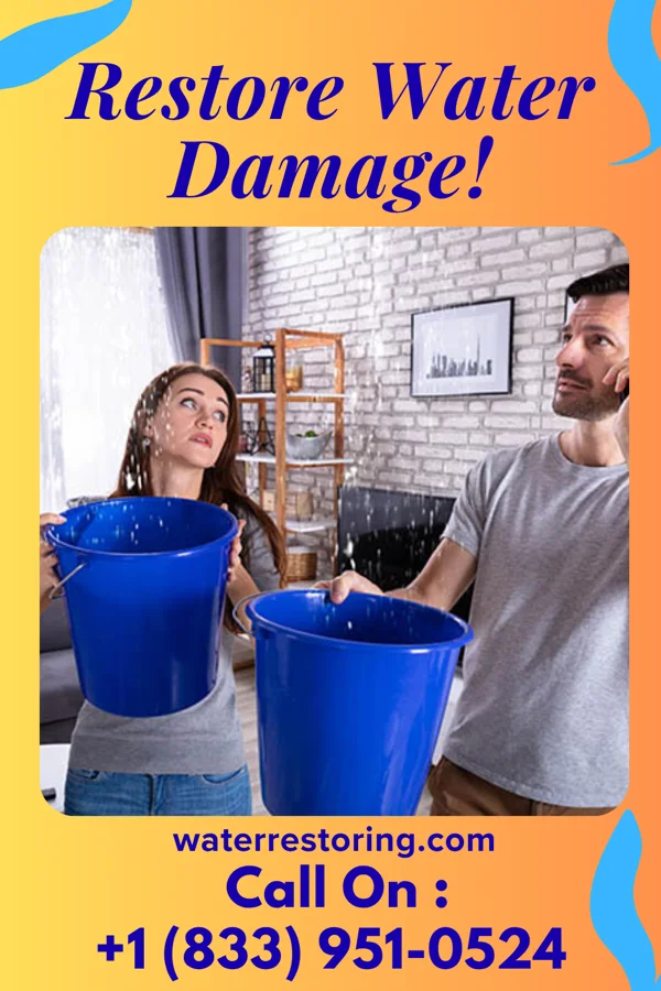 water restoration Pro Water Mitigation & Sons Merigold