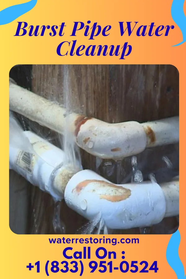 Burst Pipe Water Cleanup in Merigold, MS