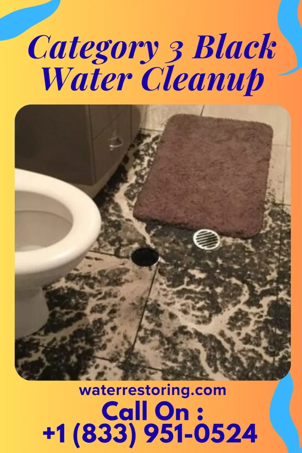Category 3 Black Water Cleanup in Merigold, MS