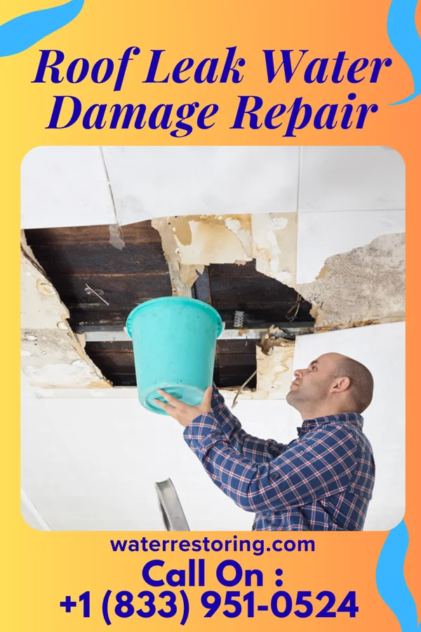 Roof Leak Water Damage Repair in Merigold, MS
