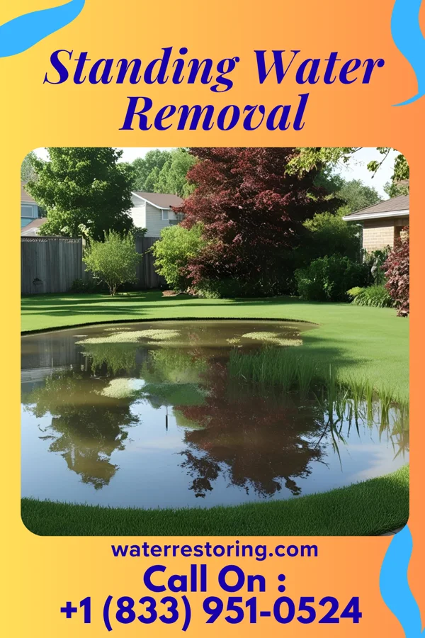 Standing Water Removal in Merigold, MS
